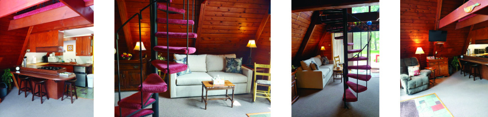 Vacation Rental